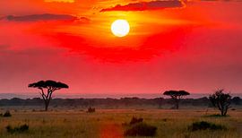Afrika met zonsondergang