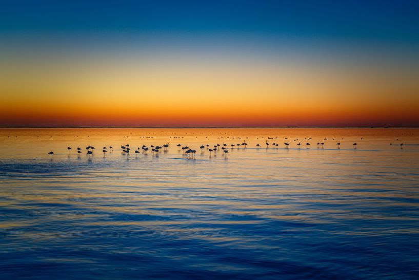 Silhouettes au coucher du soleil par Loris Photography