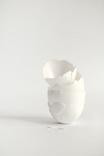 La simplicité sous un jour particulier.