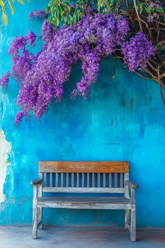 Blauwe muur met bougainville