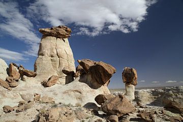 Hoodoo Forest (Rimrocks North) Grand Staircase-Escalante National Monument in southern Utah, USA by Frank Fichtmüller