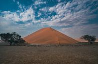 Sand dune in the Namib Desert of Namibia by Patrick Groß thumbnail