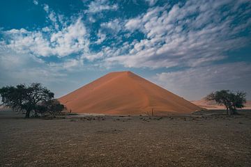 Zandduin in de Namib-woestijn van Namibië van Patrick Groß
