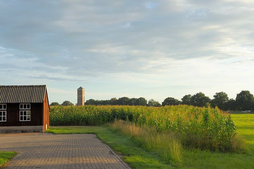 Watertoren von Willem van Leuveren Fotografie