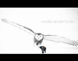 The Owl and the Elephant "Youre never to BIG" by Truckpowerr