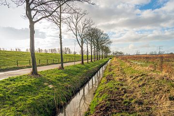 Kleurrijk Nederlands polderlandschap