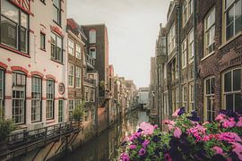 Dordrecht von seiner schönsten Seite! von Dirk van Egmond