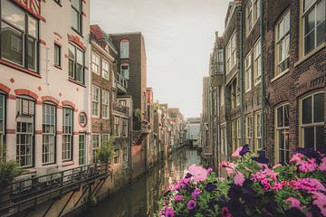 Dordrecht op zijn mooist!