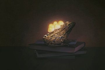 Betoverende Pad op Boeken: Een Magisch Tafereel van Verhalen en Verlichting van Elianne van Turennout