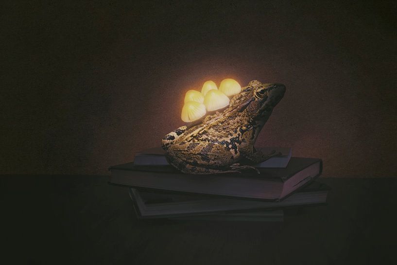 Chemin enchanté sur les livres : une scène magique d'histoires et d'illuminations par Elianne van Turennout