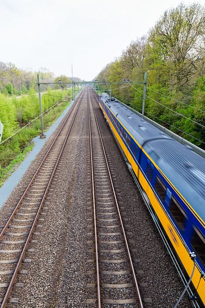 Rijdende trein nabij Onnen von Arline Photography