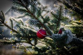 Boule de Noël sur Bas Schneider