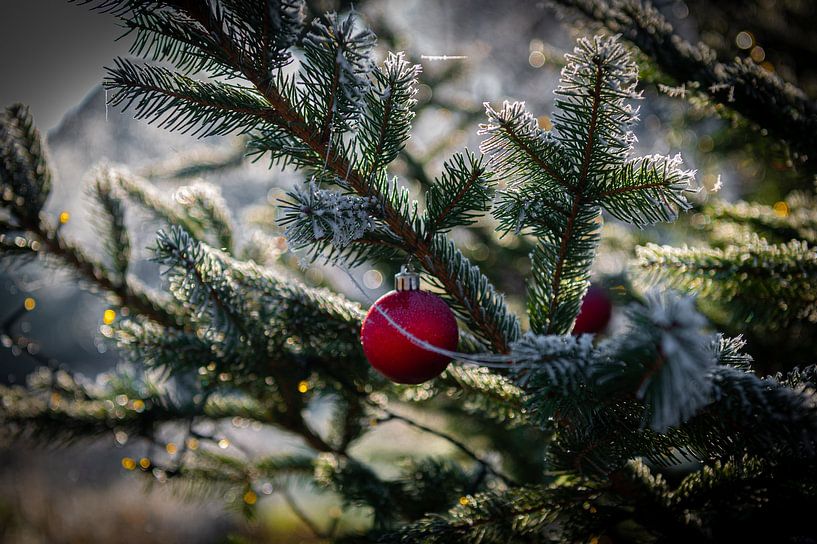 Christmas ball by Bas Schneider