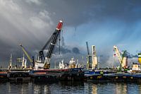 Haven van Rotterdam 