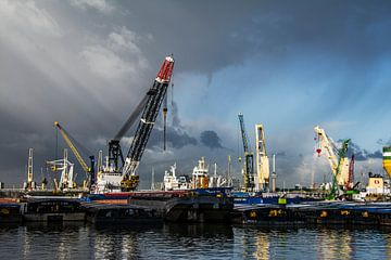 Haven van Rotterdam  van Ton de Koning