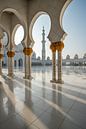 Sheikh Zayed grand mosque by Luc Buthker thumbnail