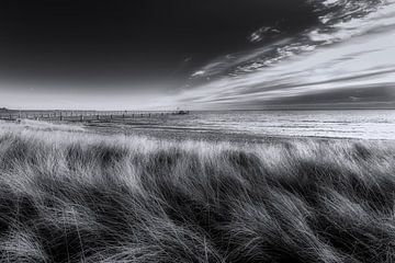 Beach dunes of Scharbeutz / Haffkrug, black and white image.