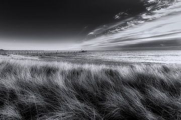 Strand Dünen von Scharbeutz / Haffkrug, schwarz-weis Bild.