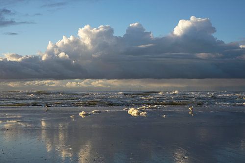 Beautiful clouds on the Dutch coast