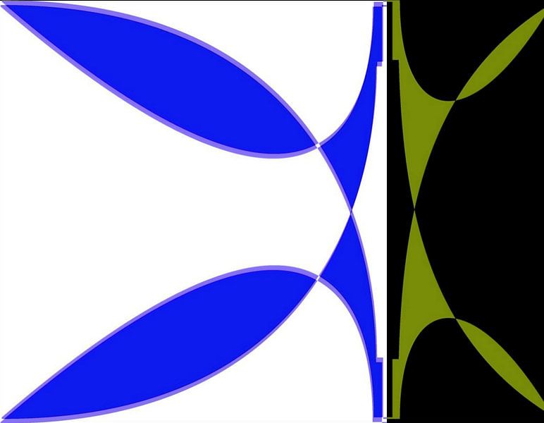 fiori.6.3jpg by rita sacco