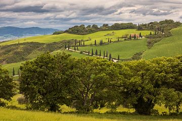 Uitzicht op het Toscaanse heuvellandschap van Marga Vroom