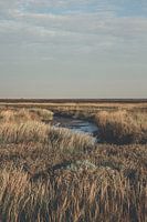 Peazemerlannen Landschaft Friesland