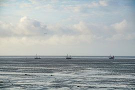 Terschelling von seiner schönsten Seite von Dirk van Egmond