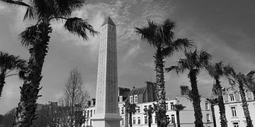 Palmbomen en Obelisk, Boulogne-sur-Mer, Frankrijk van Imladris Images