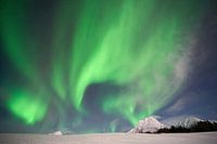 Northern Lights