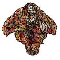 Orang oetan