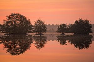 Reflectie