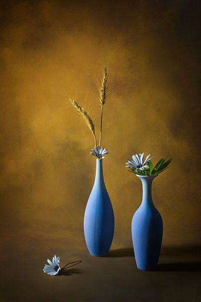 Little White Daisy by Lydia Jacobs