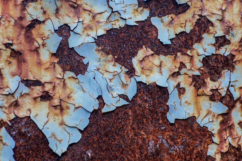 Roestige wereld van Niek Traas