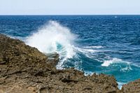 Curacao, ruige kust no. 1