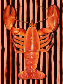 The Lobster von Marja van den Hurk