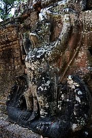 De vergeten beelden van Angkor