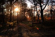 Zonsondergang op Sallandse Heuvelrug van David Klumperman thumbnail