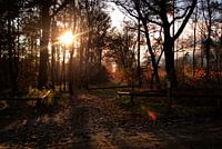 Zonsondergang op Sallandse Heuvelrug