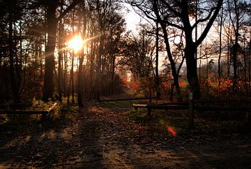 Zonsondergang op Sallandse Heuvelrug van David Klumperman