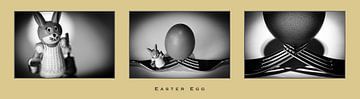 Easter Egg van Eddy Westdijk