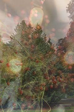 Bokeh in het bos van Art by Janine