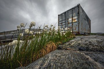 Container in Qeqertarsuaq, Grönland von Martijn Smeets