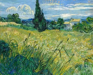 Groen korenveld, Vincent van Gogh