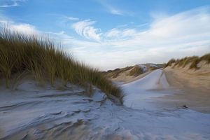 Duinlandschap in Nederland van Ingrid Van Damme fotografie