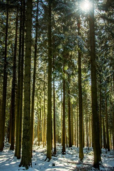 Natuur en landschap in het Erzgebergte van Johnny Flash