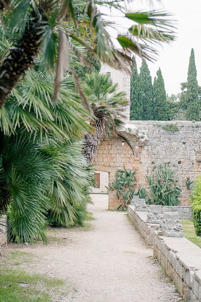 Paysage méditerranéen sur l'île de Lokrum | Dubrovnik, Croatie par Amy Hengst