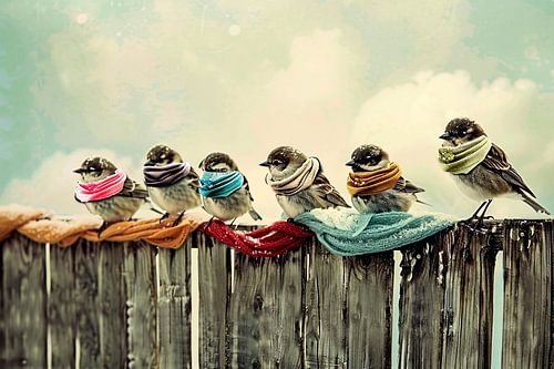 Vogels met kleurrijke sjaals