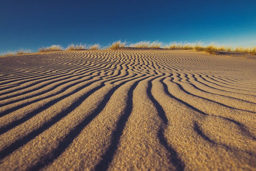 Lines by peterheinspictures