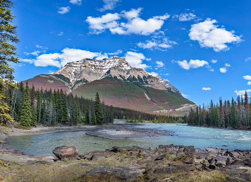 Bij de Athabasca watervallen, Canada