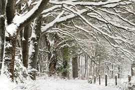Winterlandschaft auf dem St. Jansberg in Limburg in der Niederlande